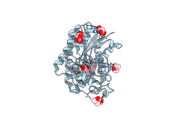 8A26 image