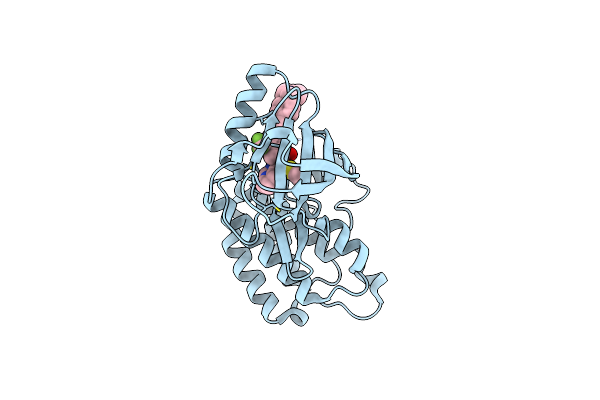 8A2B image