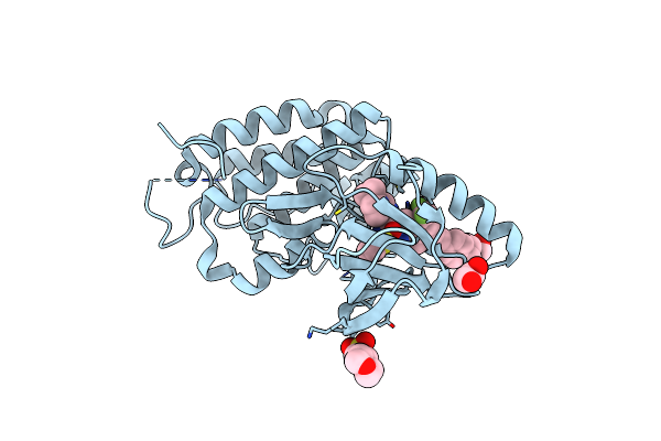 8A2D image