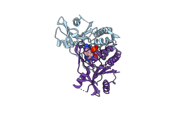 8A2H image