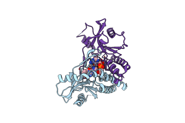 8A2I image