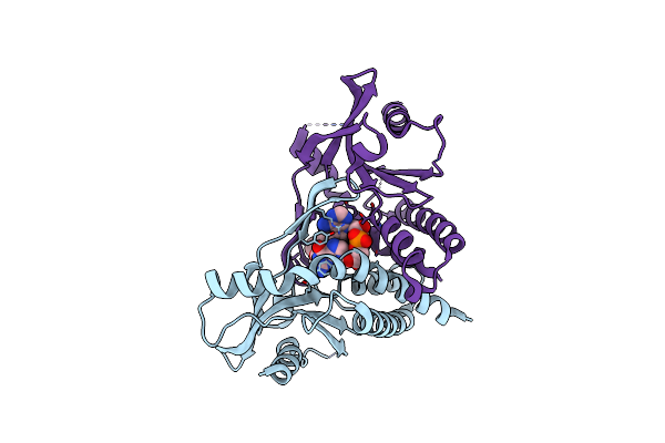 8A2K image