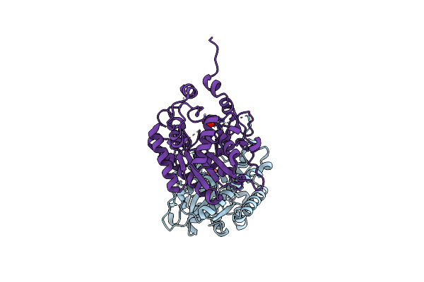 8A2N image