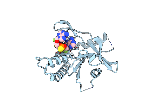 8A2X image
