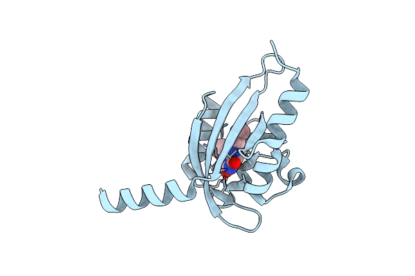 8A33 image