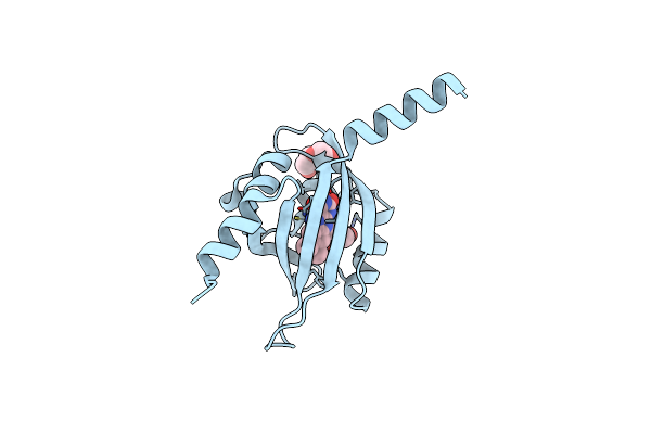 8A37 image