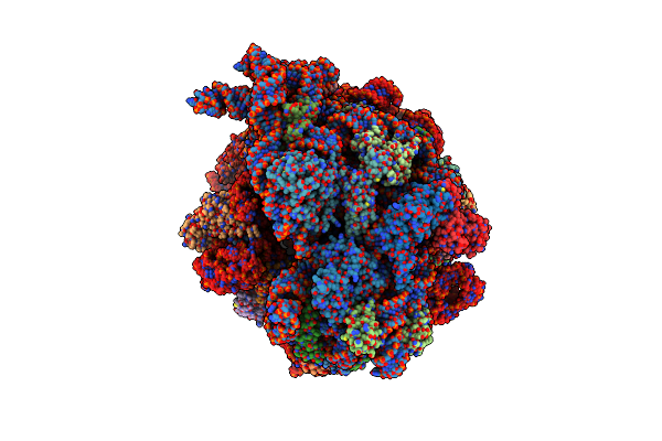 8A3L image