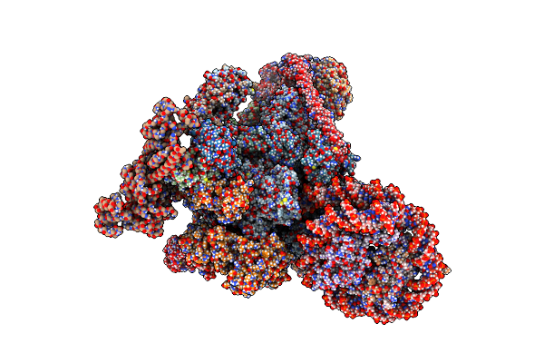 8A3Y image