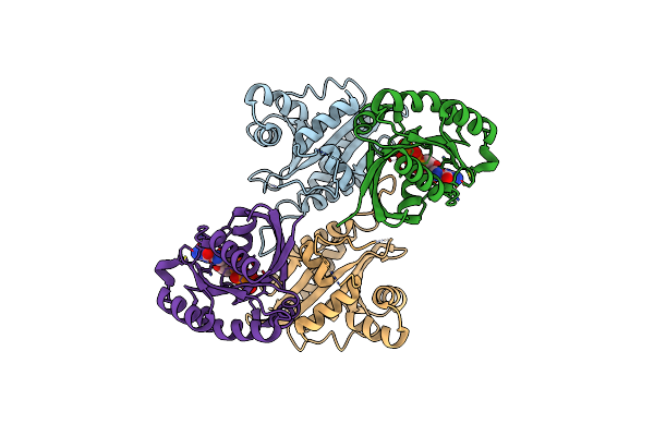 8A4B image
