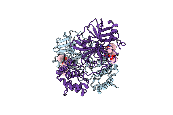 8A4T image