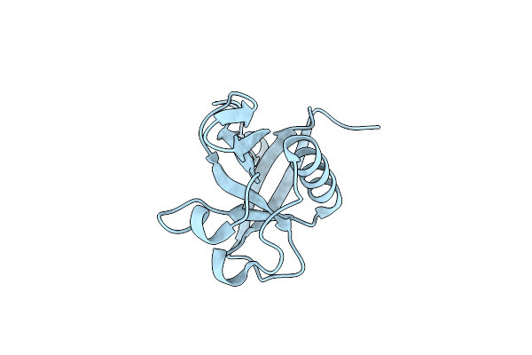 8A55 image