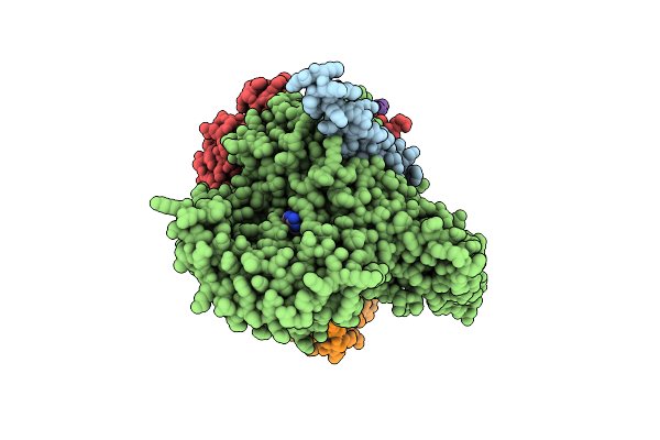 8A5A image