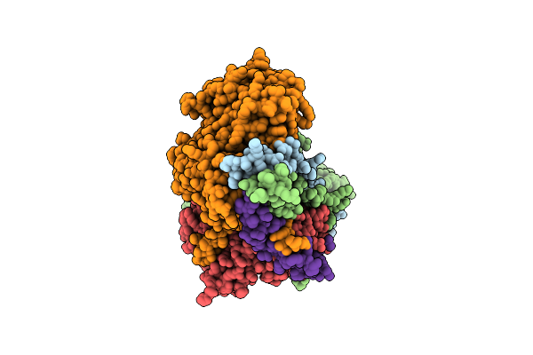 8A5D image