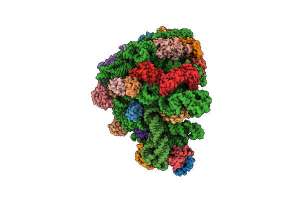 8A5I image