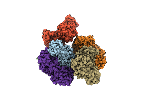 8A5K image