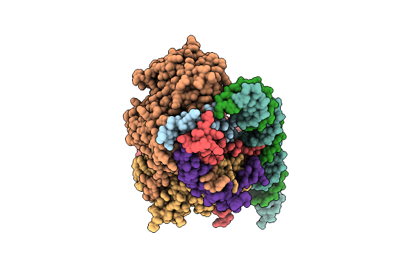 8A5P image