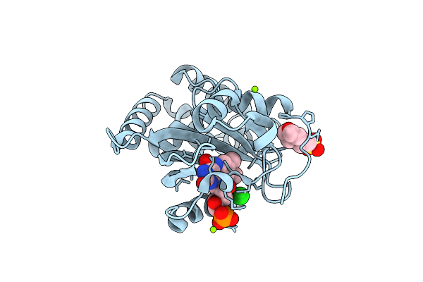 8A5R image