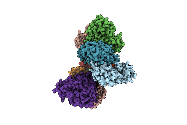 8A5W image