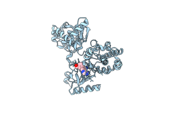 8A5X image