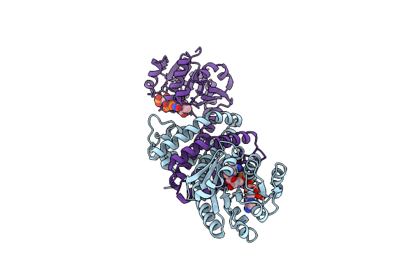 8A5Z image