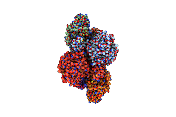 8A6T image