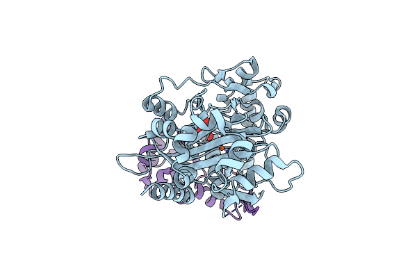 8A82 image
