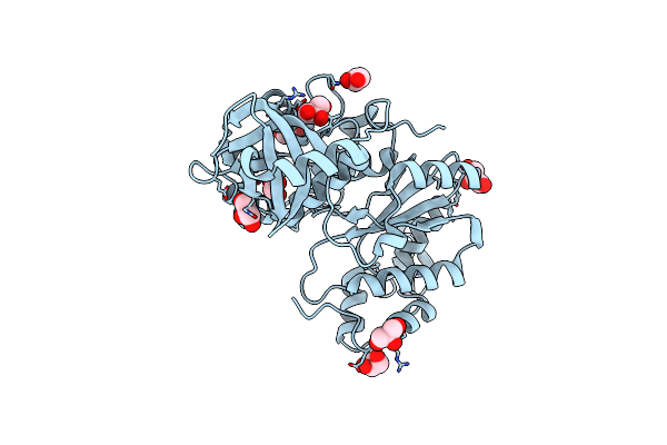 8A8G image