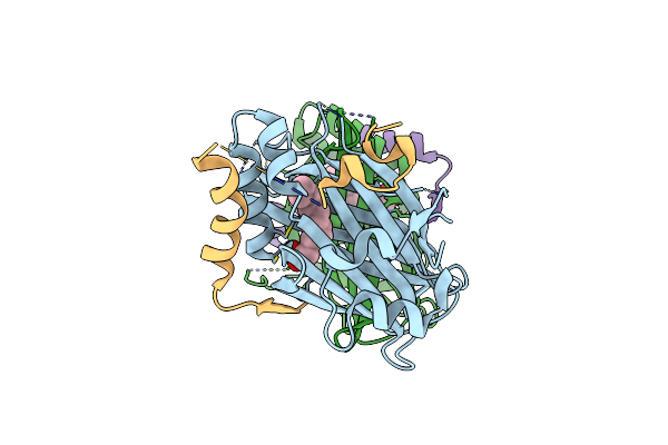 8A8R image