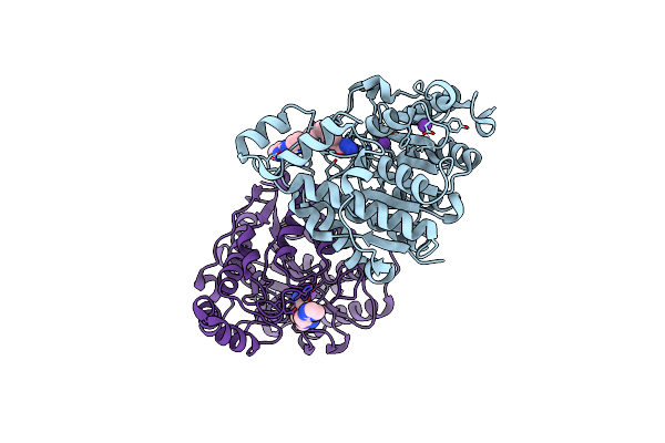 8A8Z image