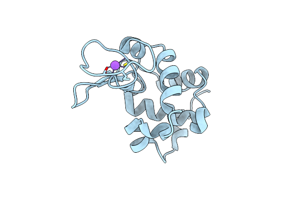 8A9D image