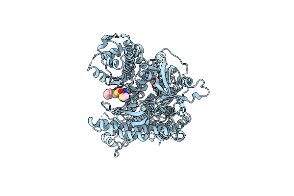 8A9I image