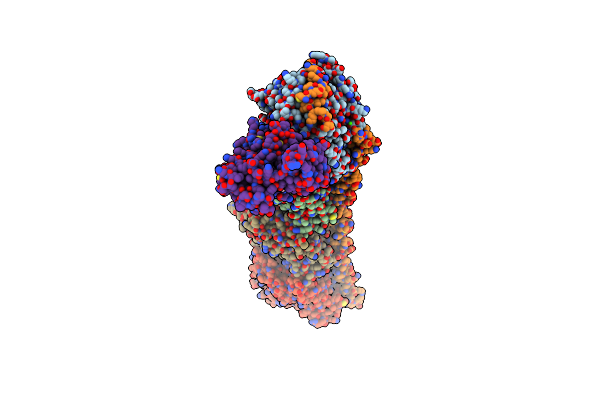 8A9Z image