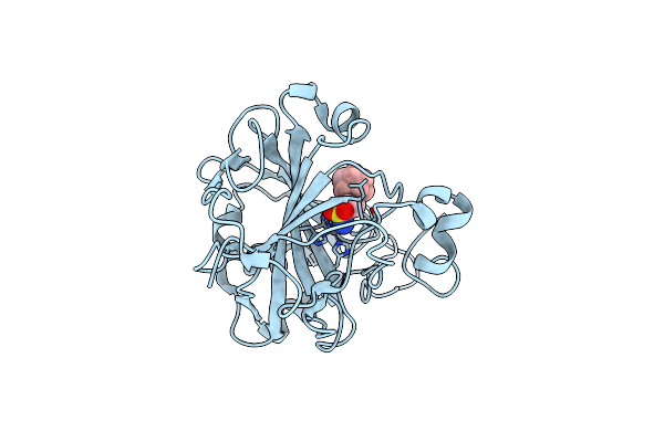 8AA6 image