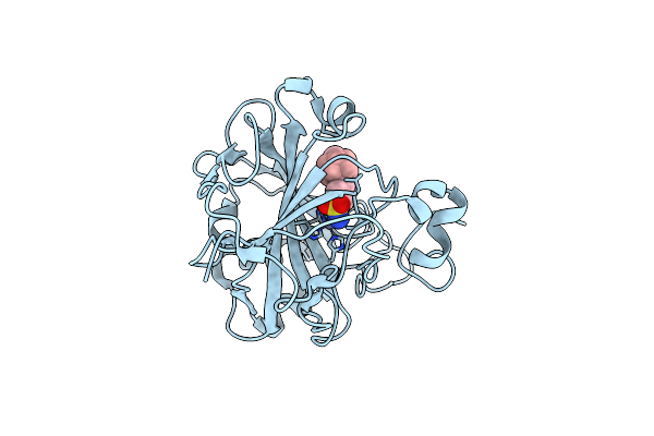 8AAE image