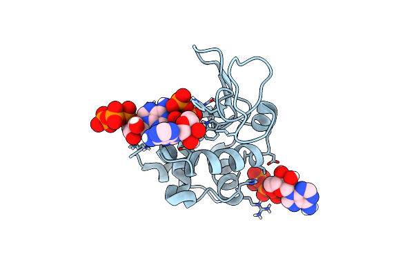 8AAZ image