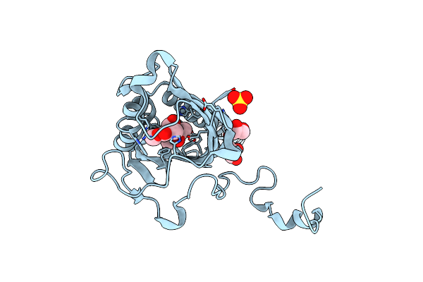 8ABV image