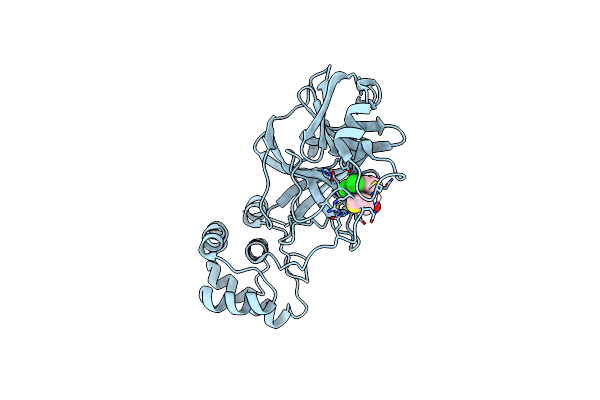 8ACD image