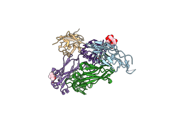 8ACI image