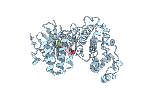 8ACO image