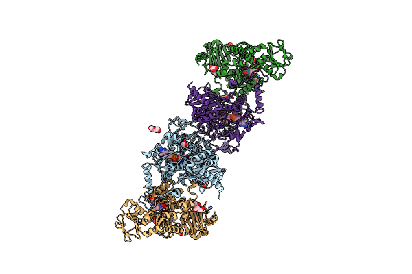 8ACS image