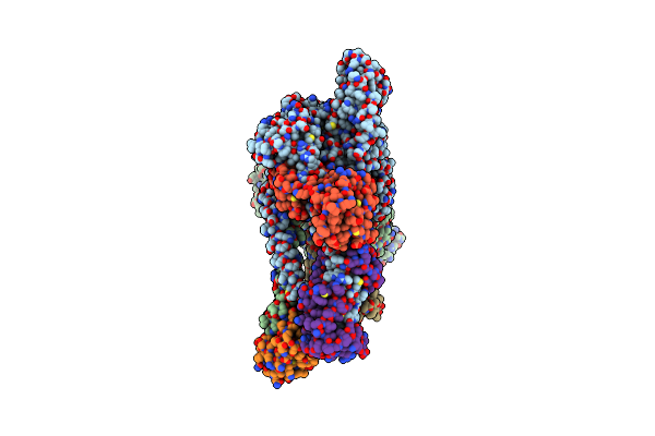 8ACT image