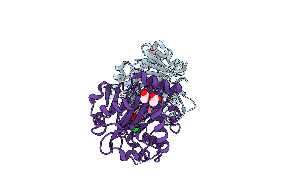 8ACV image