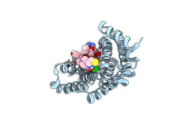8ADM image