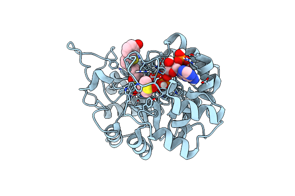 8AE9 image