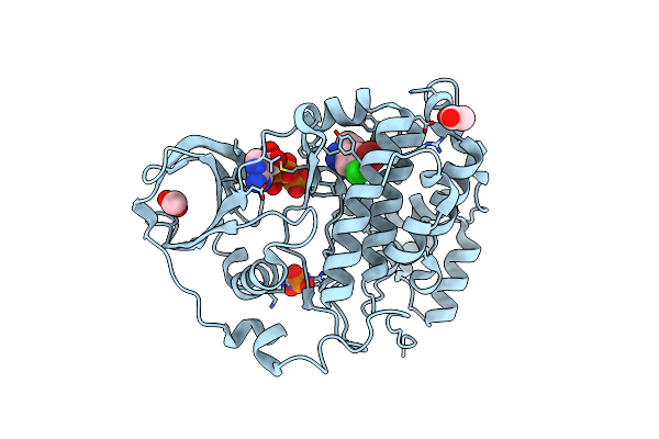 8AEC image