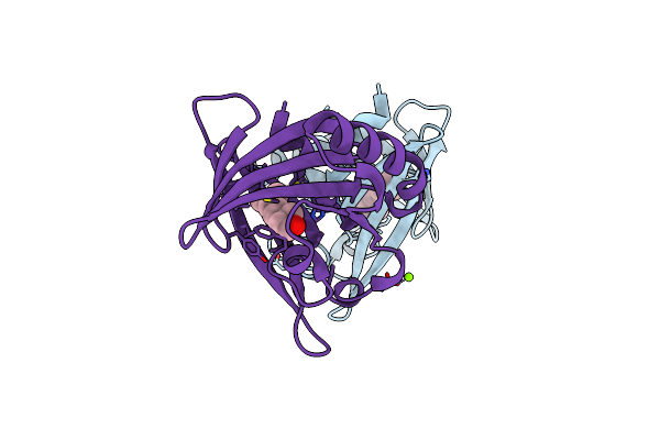 8AEI image