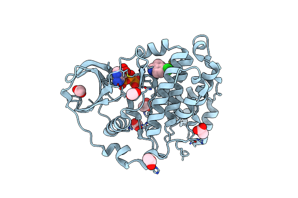 8AEM image