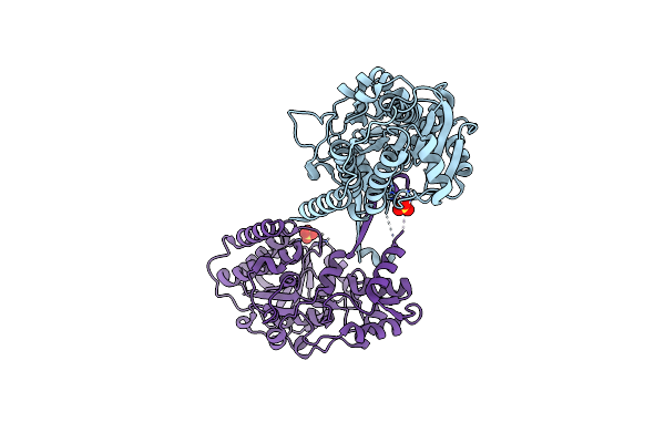 8AEP image