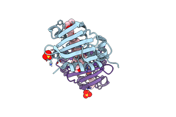 8AF2 image