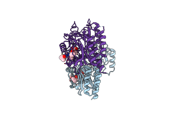 8AFK image